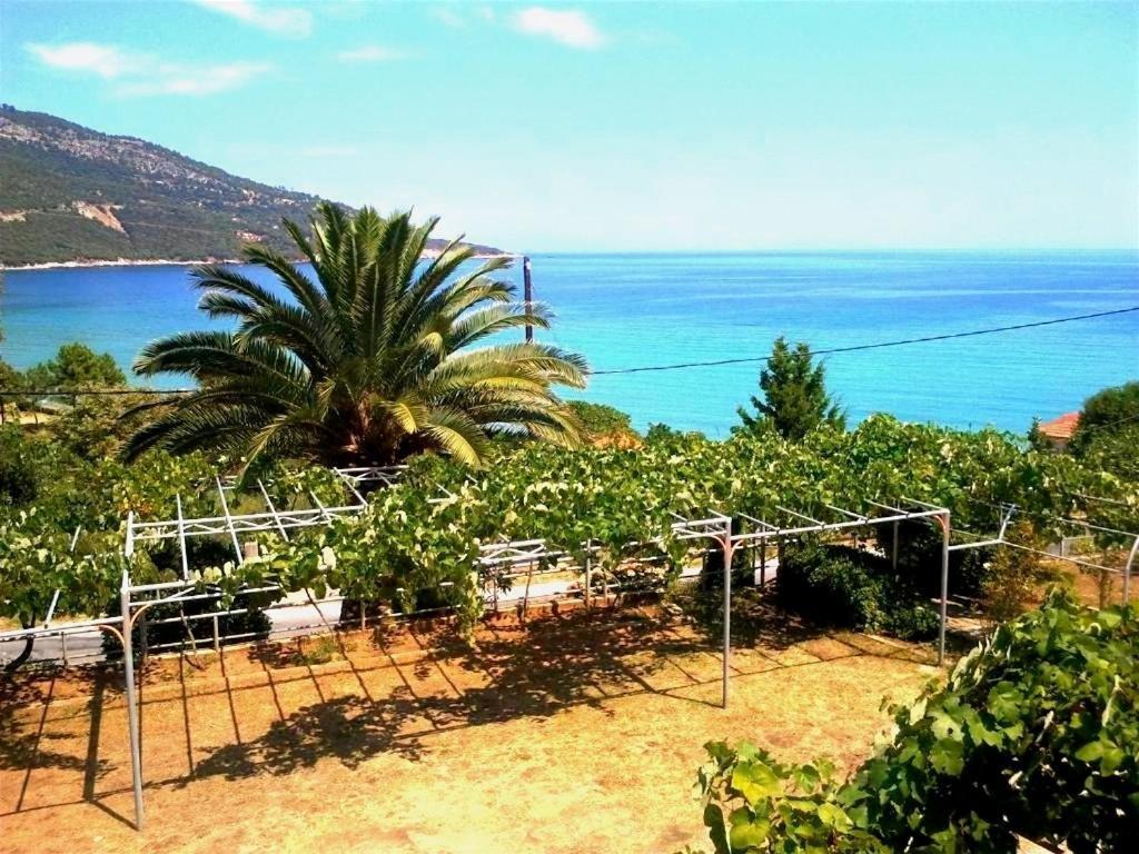 Hotel Kinira Buitenkant foto
